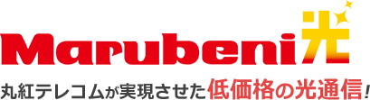 Marubeni光 丸紅テレコムが実現させた低価格の光通信