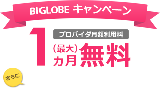 プロバイダ月額利用料 最大1ヵ月無料 さらに当サイト限定キャンペーンでおトク!