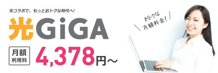 インターネット接続サービス 光ギガ 戸建て料金4,378円