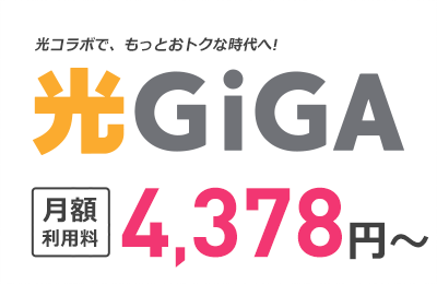 インターネット接続サービス 光ギガ 戸建て料金4,378円